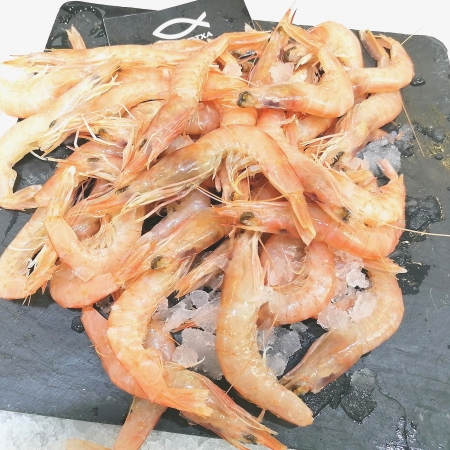 Gamba blanca fresca