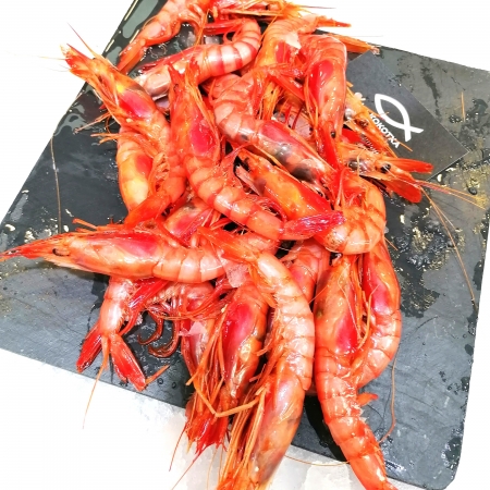 Gamba roja